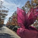 전북베이커리고등학교 이미지