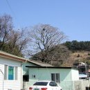 외눌마을(눌차마을)입구 이미지