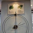 미소쌈밥정식 | [대전] 수통골 쌈밥 쭈꾸미정식 맛집 쌈채원 수통골점 후기