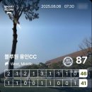 블루원CC (대중제) | 블루원용인 cc 라운딩 후기