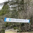 청정원 대학생 봉사단 4기 합격 + 입단식 후기