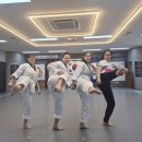 경희대 스페셜 태권도줄넘기 | [공지] 영덕동 흥덕지구 성인태권도, YTN 방송에 출연했습니다!(경희대LS태권도)