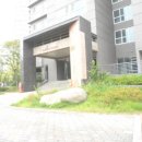 대덕대로-6 이미지