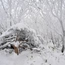 덕유산주유소 이미지