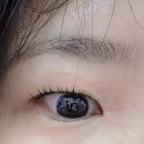 GS25(명동휴게소점) | 서울 네일 가성비 명동 네일 명동 속눈썹 펌 가능한 쁘띠 속눈썹 후기