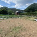 청운(용두)시외버스터미널 이미지