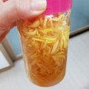 일상모과