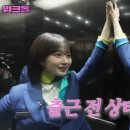 제주많은곰
