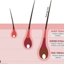 오송다시봄날의원 이미지