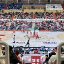 동천10-8농로 | 울산 가볼만한곳 ‘동천체육관’ 현대모비스 응원석 농구 관람 편의시설