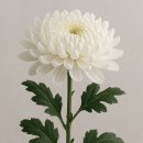 이승욱의원 이미지