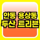 경상북도 안동시 용상동행정복지센터 | 트리븐 안동 용상동 아파트 분양가 정보