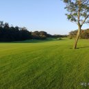 테디밸리CC 이미지