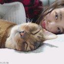 행복한일상 이미지