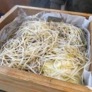 편편집 노원역점 | 노원 맛집 편편집 노원역점 편백찜 샤브샤브 무한리필 주차