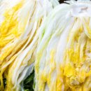 따뜻한 산들바람 이미지