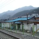 도계읍사무소 네이버블로그
