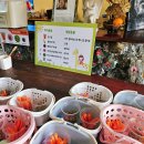 세화농장 | &lt;제주 한 달 살기 DAY 15&gt;제주올패스DAY/런닝맨/감귤카트/소인국테마파크/더마파크/파더스가든/오또도넛