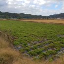 강원도 횡성군 횡성읍 읍상서로 이미지