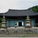 장흥군 보림사 Daum카페