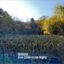 상천리보건진료소 이미지