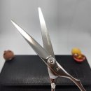 미미살롱 5.5 이미지