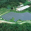 큰별태양광발전소 이미지