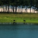 경희살림한의원 이미지