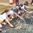 흥선농장 이미지