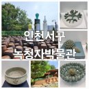 인천경서동녹청자요지 | 인천서구 경서동 역사와 전통이 살아있는 녹청자박물관