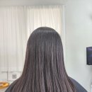 다온 헤어리움