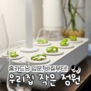 라이트팜 | 홈가드닝 식물조명키트 발코니팜 바질모종키우기 식집사 첫 도전