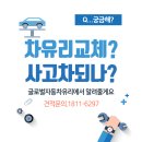 글로벌자동차유리강서사업소