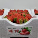 기찬농장 이미지