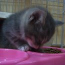 마포구청역 5번출구 이미지