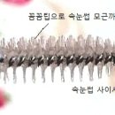 엘앤에스 컴퍼니 이미지