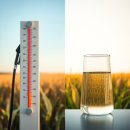 대안주유소 | 치솟는 유가 대안 에탄올 혼합유 장단점 내 차의 건강과 지갑을 동시에 지키는 꿀팁