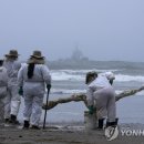 화산환경 이미지