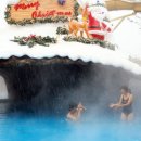 나들목사우나 이미지