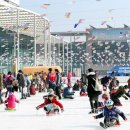 용인시청 이미지