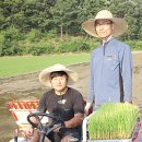 산계3리 Daum카페
