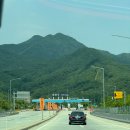 월악로농장 | 충주 당일치기 여행 코스 활옥동굴 고소미부엌 발리포레스트 스마일만두