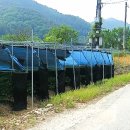 꽃골농장 이미지