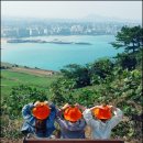 제주도게스트하우스파티달이머물다