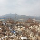 동두천목장 이미지