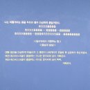 &lt;물처럼 부드럽고 여리게 Soft and Weak like Water&gt;제14회 광주 비엔날레 (비엔날레관)-‘일시적 주권...