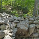 나리 신령수 이미지