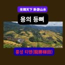 중국절경 가을여행지④광시성 계단식 논-룽성 티톈(龍勝梯田) 이미지