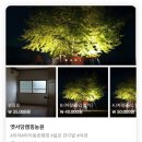 [장성] 옛서당캠핑농원으로 가을캠핑/광주근교캠핑장추천