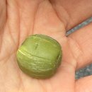 (주)소모 수지제일주유소 | 전방에 과생각 방지턱이 있습니다. 속도를 줄이세요.